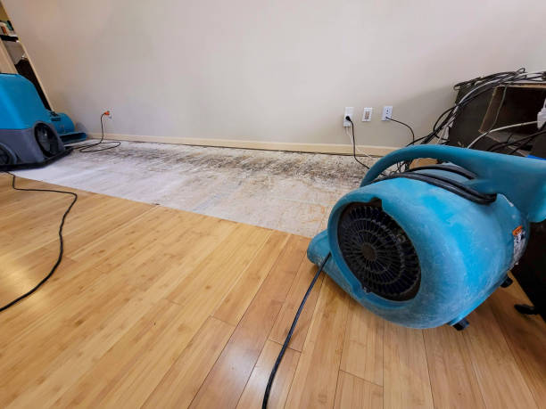 Professional Water Damage Repair technician working in Loma Linda, CA